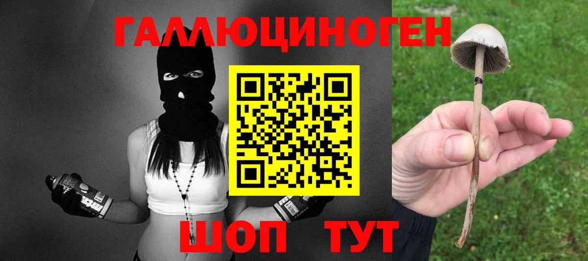 Псилоцибиновые грибы Psilocybine cubensis  Псилоцибиновые грибы GOLDEN TEACHER  как найти   Вход с VPN  Алапаевск 